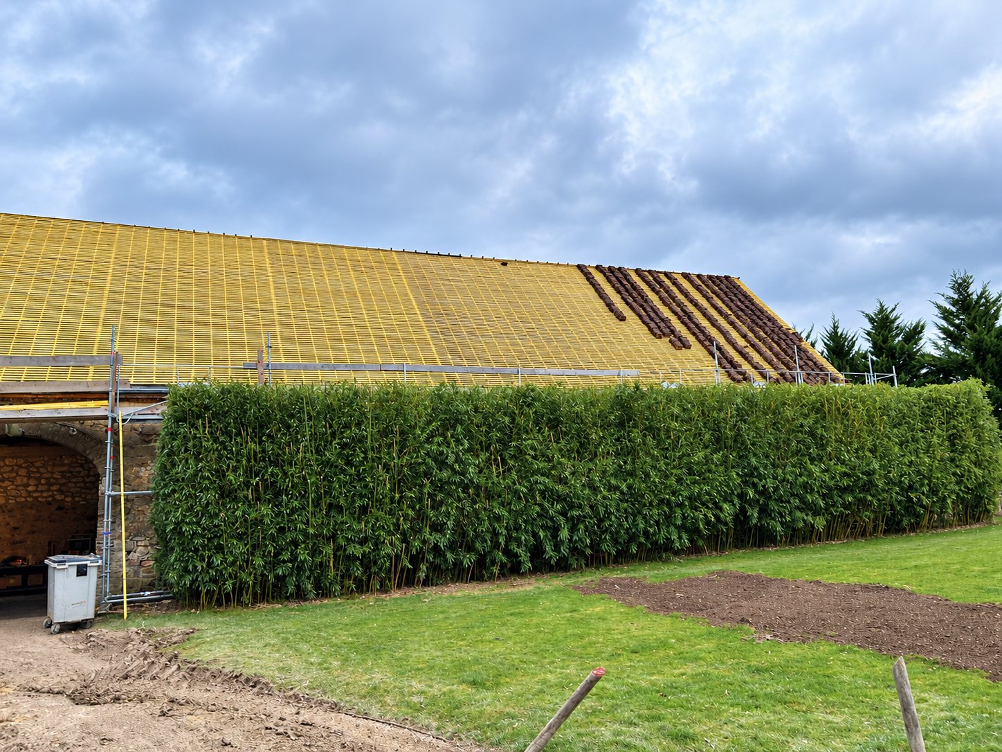 Chantier de rénovation d'une grande toiture de grange en pierre, avec liteaux jaunes, rangées de tuiles en cours de pose, échafaudage et haie de bambous au premier plan.